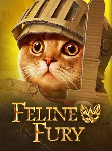 Feline Fury